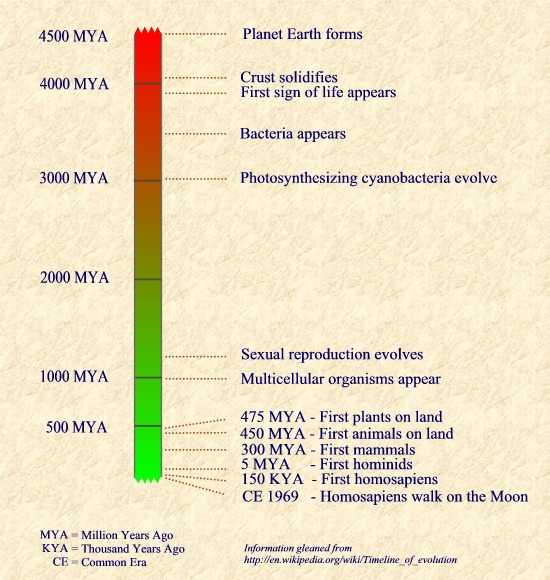 Timeline of the Earth